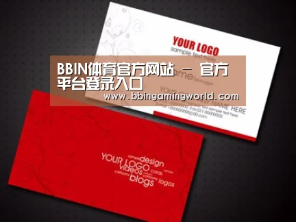 项目名称一