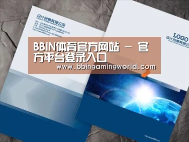 项目名称十