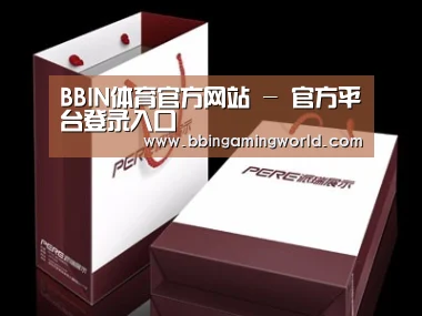 项目名称十二
