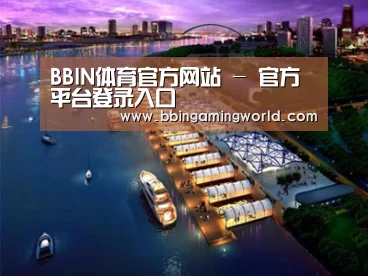 案例展示八