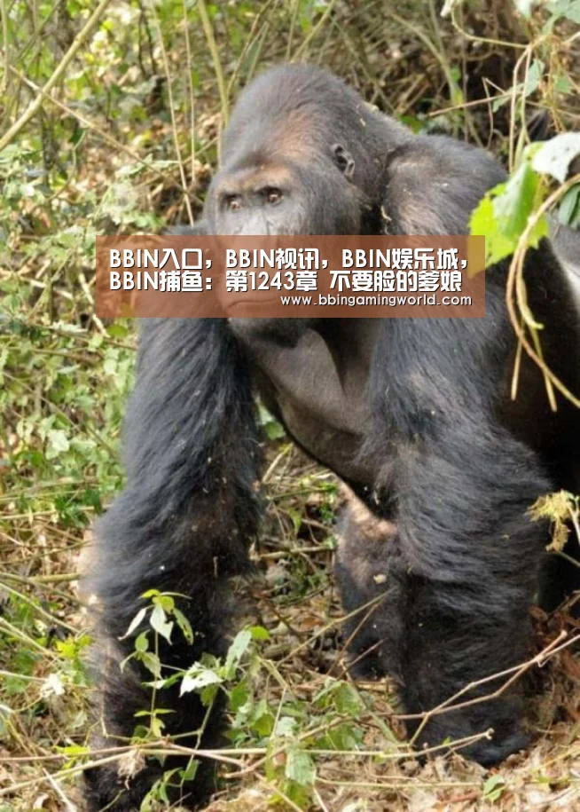 BBIN入口,BBIN视讯,BBIN娱乐城,BBIN捕鱼:第1243章 不要脸的爹娘(图1) BBIN入口,BBIN视讯,BBIN娱乐城,BBIN捕鱼