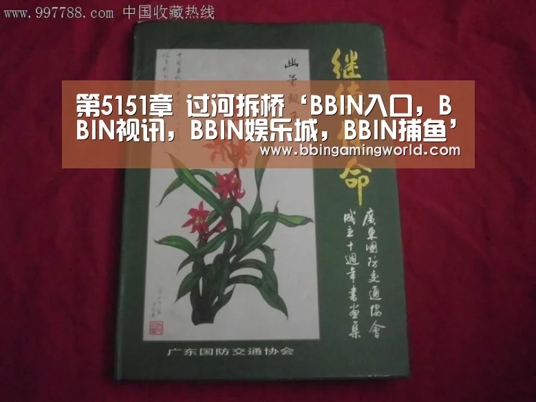 BBIN入口，BBIN视讯，BBIN娱乐城，BBIN捕鱼