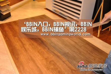 BBIN入口，BBIN视讯，BBIN娱乐城，BBIN捕鱼