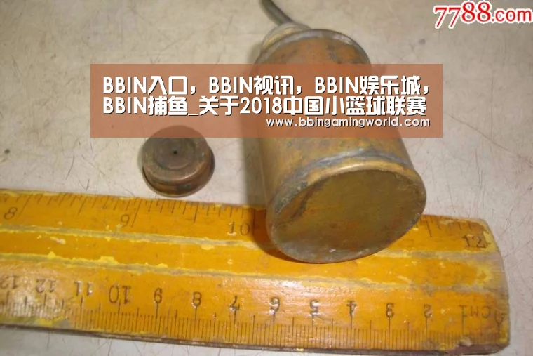 BBIN入口，BBIN视讯，BBIN娱乐城，BBIN捕鱼