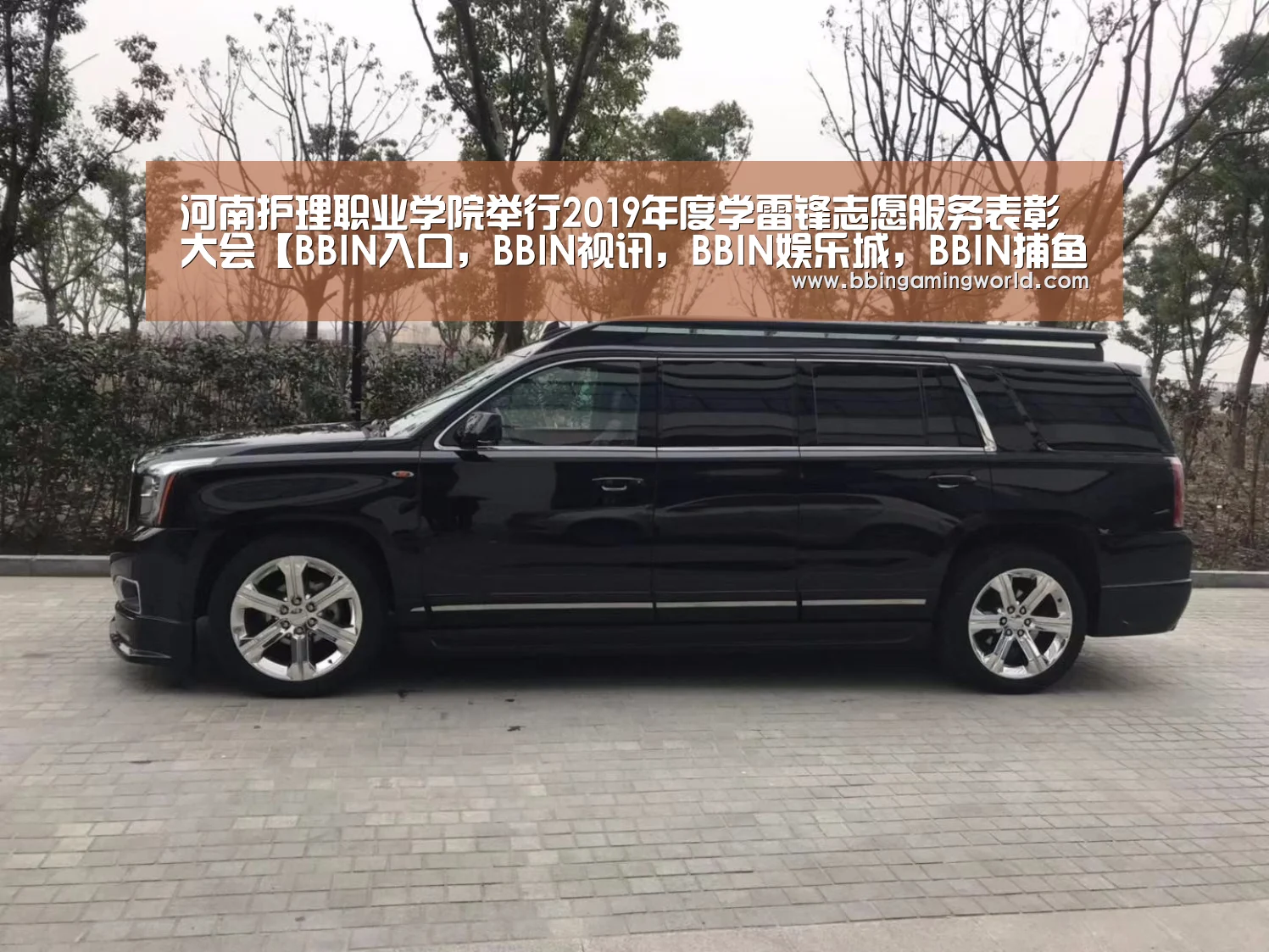 河南护理职业学院举行2019年度学雷锋志愿服务表彰大会【BBIN入口,BBIN视讯,BBIN娱乐城,BBIN捕鱼】(图2) BBIN入口,BBIN视讯,BBIN娱乐城,BBIN捕鱼