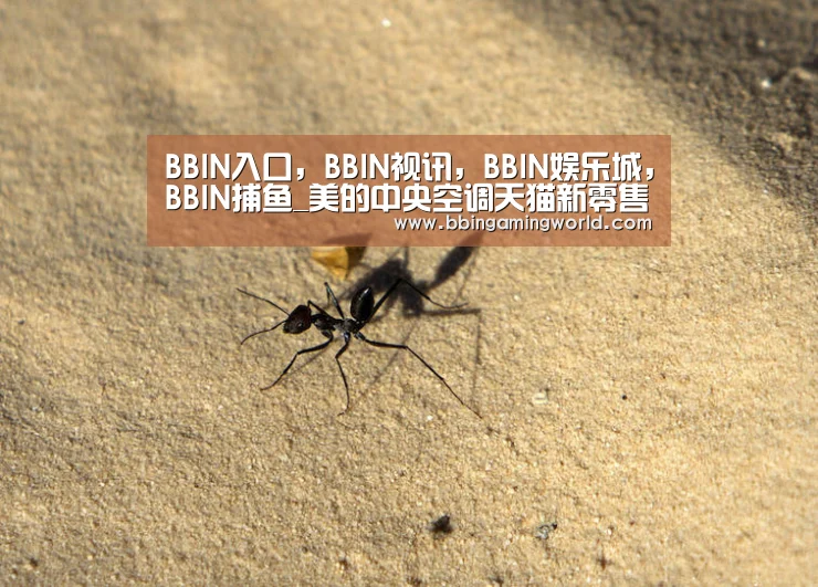 BBIN入口,BBIN视讯,BBIN娱乐城,BBIN捕鱼_美的中央空调天猫新零售战略合作发布会暨领航者新品独家首发仪式在杭州举行(图4) BBIN入口,BBIN视讯,BBIN娱乐城,BBIN捕鱼