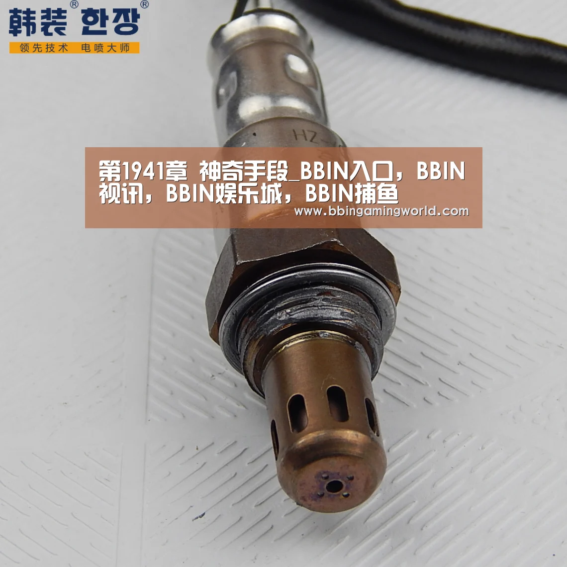 BBIN入口，BBIN视讯，BBIN娱乐城，BBIN捕鱼